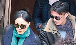 谢霆锋王菲娱乐爆料,揭秘娱乐圈背后的故事