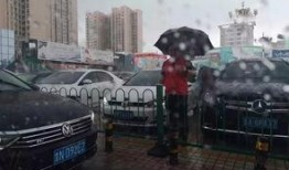 今日德州爆料最新消息,揭秘神秘事件背后的真相