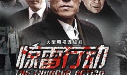 在线观看惊雷行动,揭秘网络犯罪背后的神秘世界