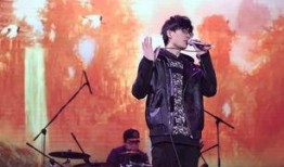 许嵩粉丝爆料后续事件视频,事件真相揭秘，视频内容引发热议