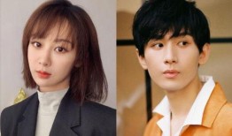 成毅杨紫最新爆料新消息,揭秘合作背后的故事与幕后花絮