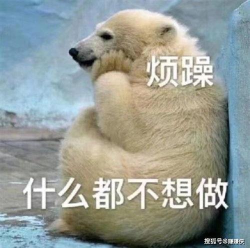 吃瓜群众图片动态,捕捉社会百态瞬间