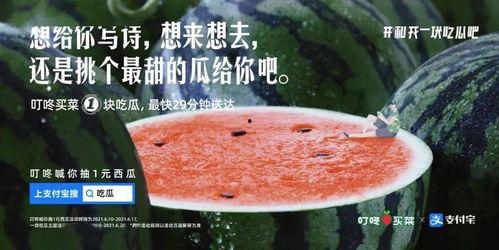 娱乐吃瓜的文案,吃瓜群众必备的幕后花絮大汇总